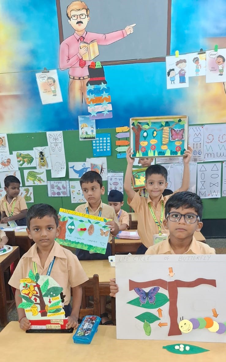 Sr.KG Experiment: Life Cycle of a Butterfly on 17th September 2025