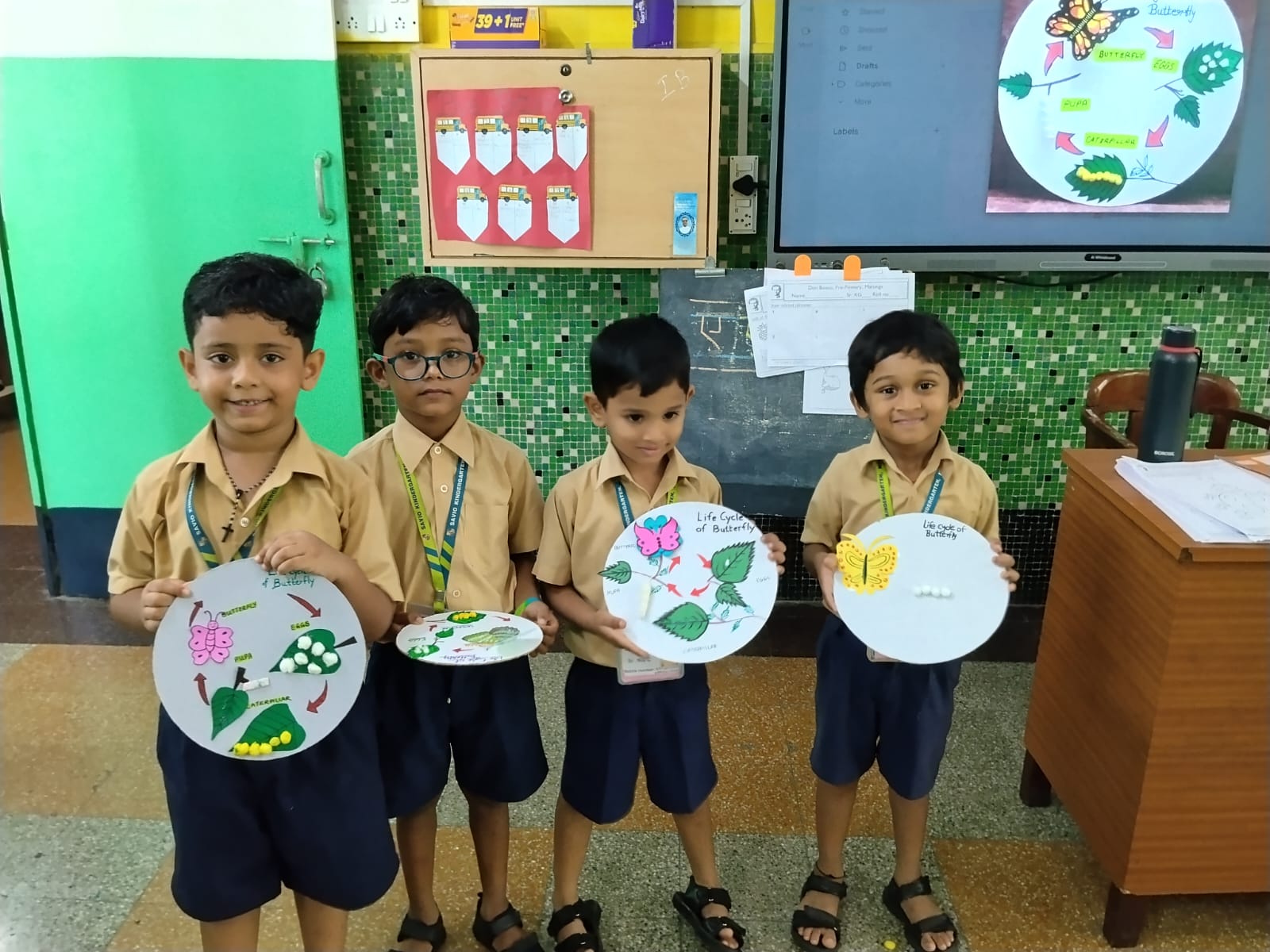 Life Cycle of a Butterfly .